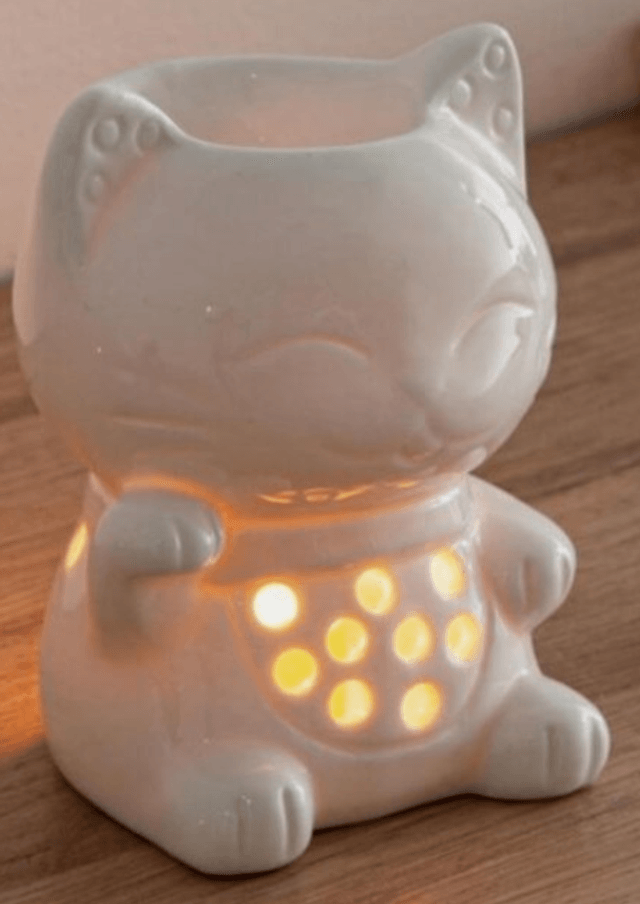 Bruleur Fondant Chat Souriant
