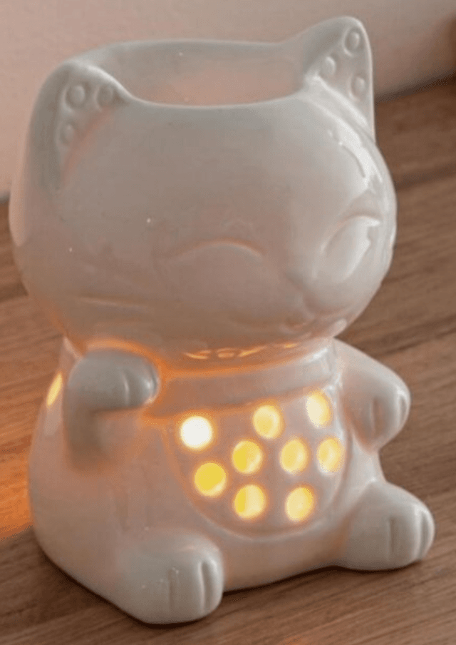 Bruleur Fondant Chat Souriant